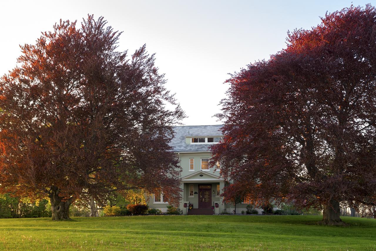 Yale Manor B&B & Yurt Glamping エクステリア 写真