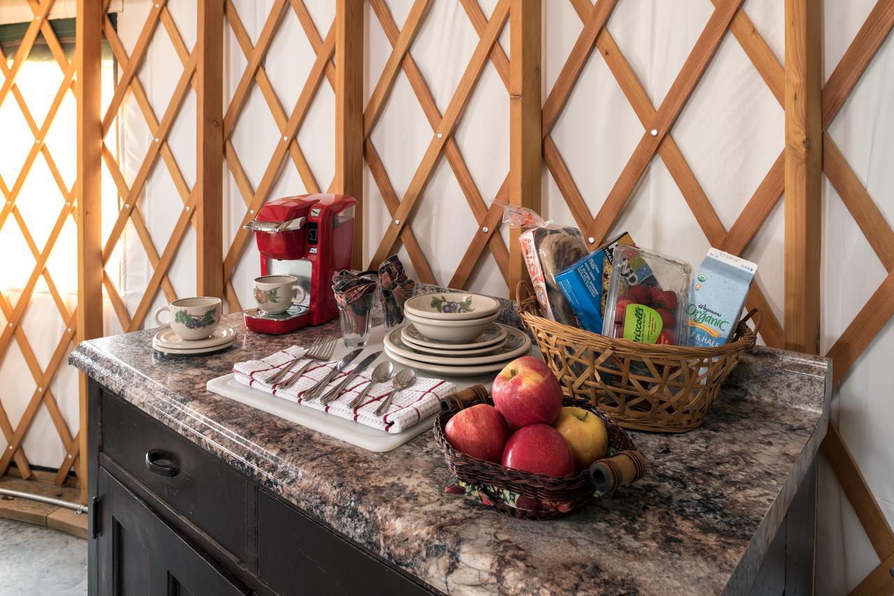 Yale Manor B&B & Yurt Glamping エクステリア 写真