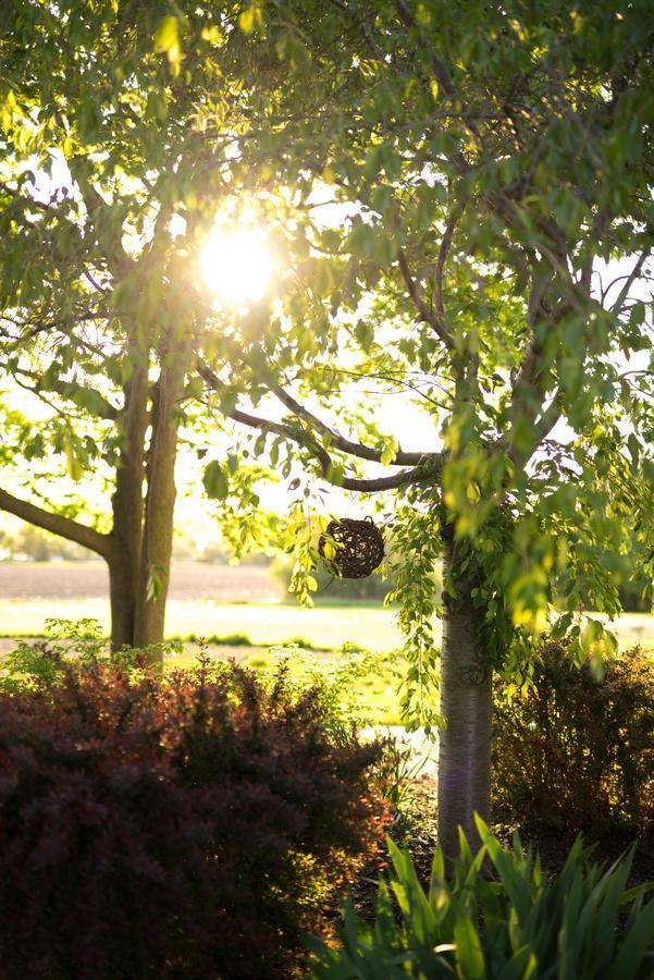 Yale Manor B&B & Yurt Glamping エクステリア 写真