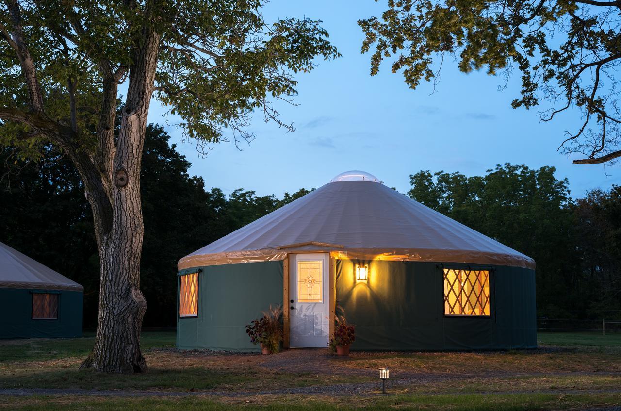 Yale Manor B&B & Yurt Glamping エクステリア 写真